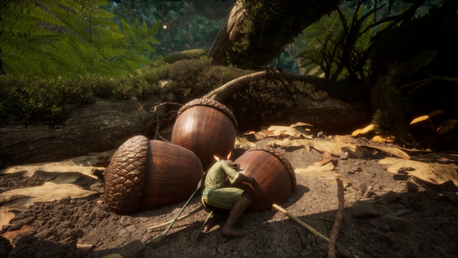 Un elfo pequeño se agacha junto a tres bellotas gigantes en un bosque.