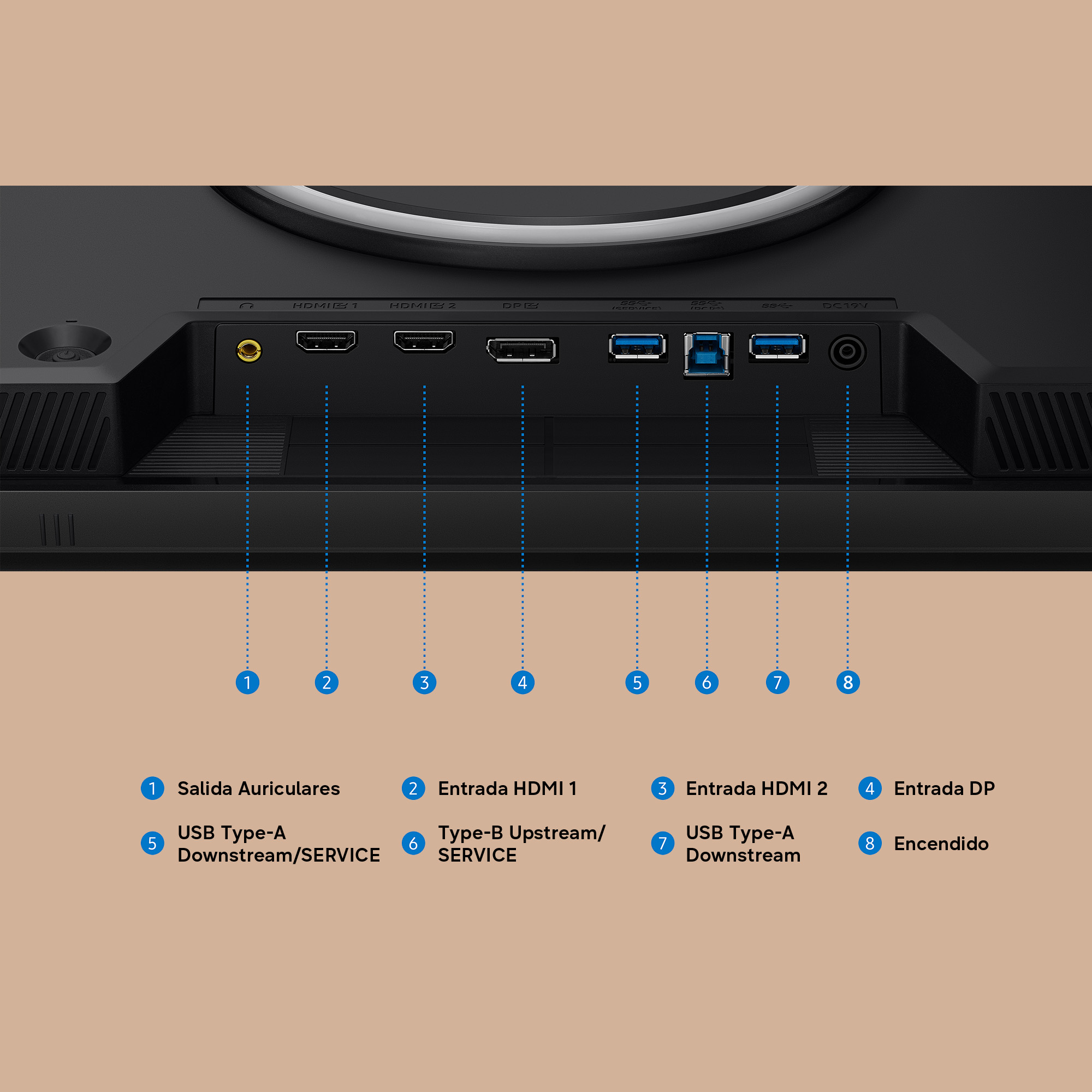 Panel trasero de monitor con puertos: auriculares, 2x HDMI, DP, 2x USB-A, USB-B, DC-In.