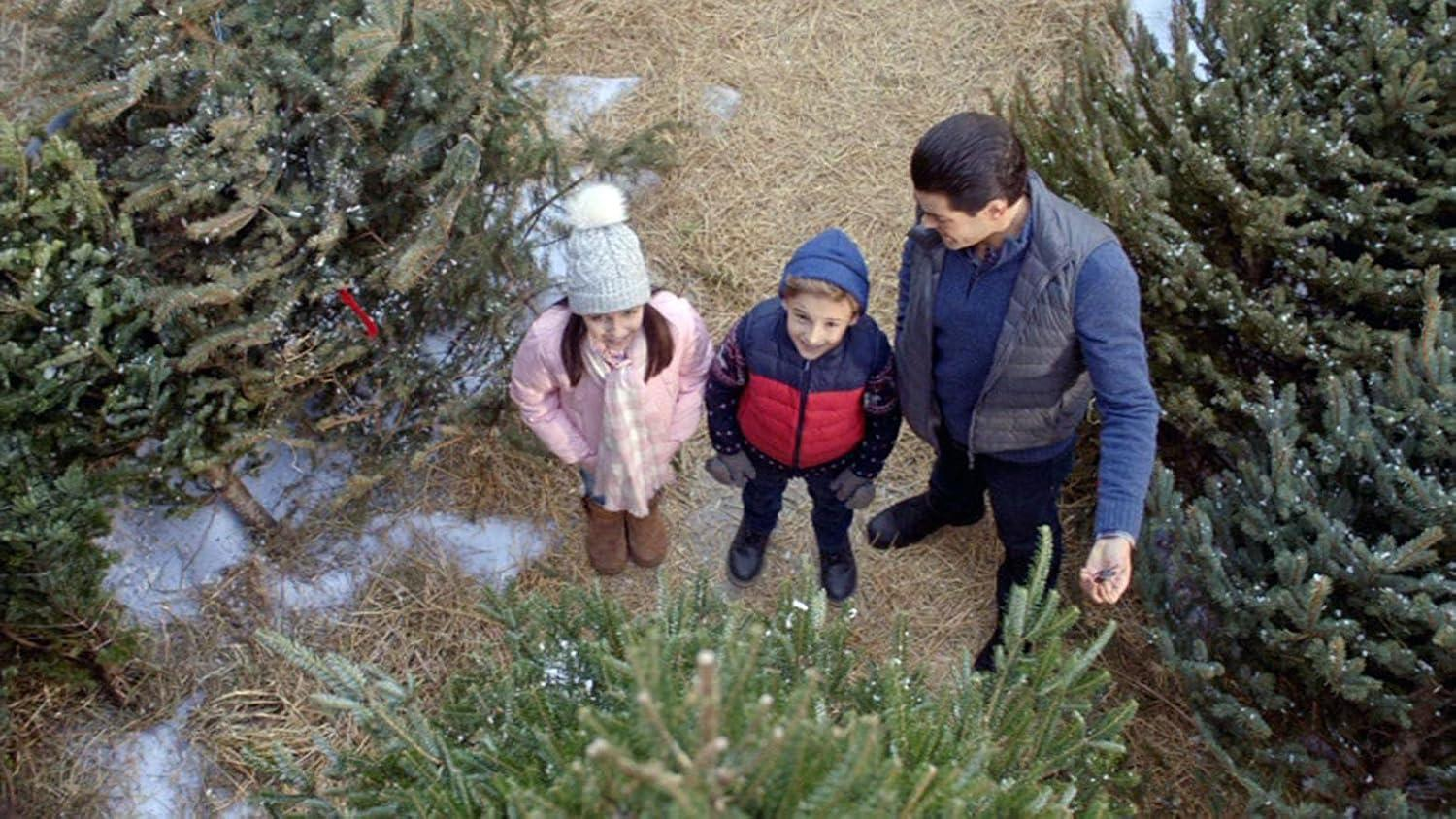 Mann und zwei Kinder stehen zwischen Weihnachtsbäumen.