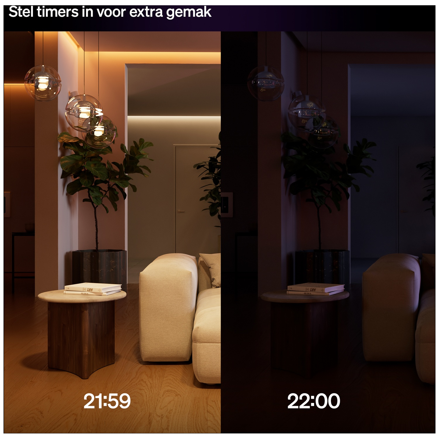 A living room with a couch, side table and plants, shown during the day and night.