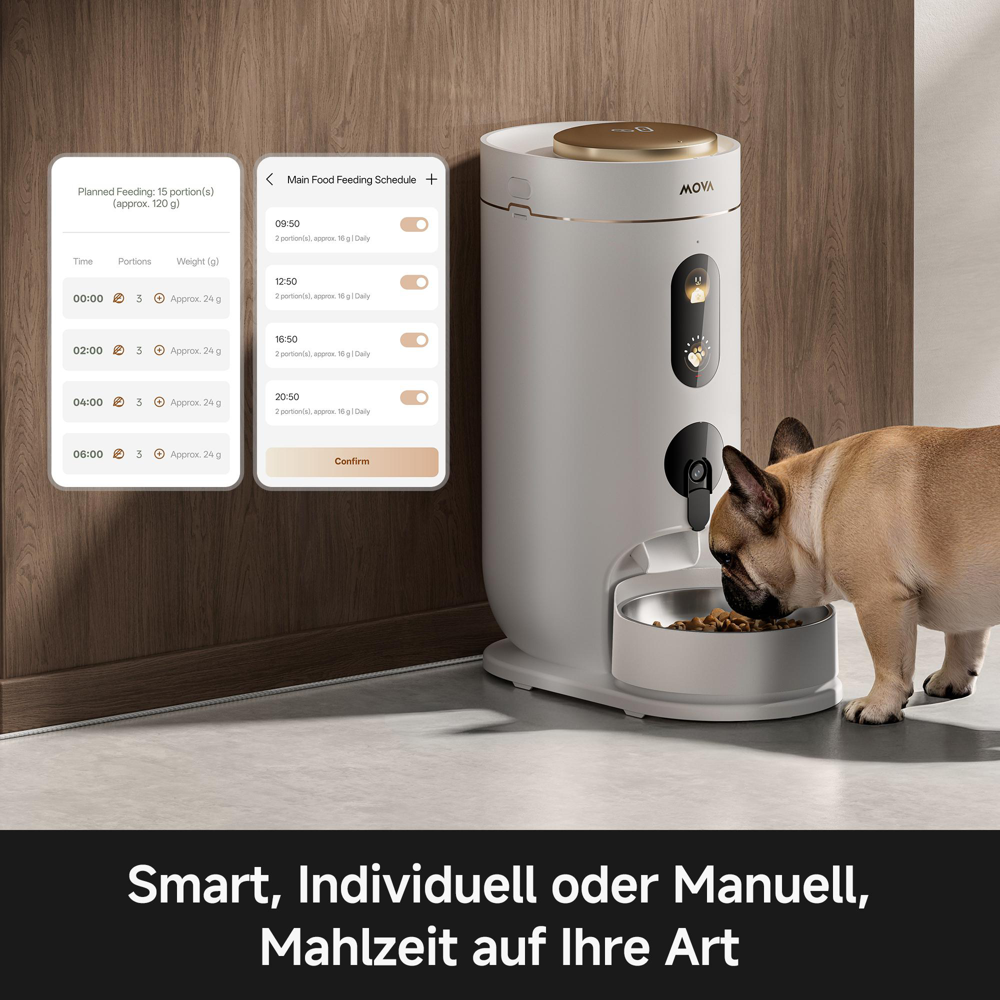 Französische Bulldogge frisst aus weißem Futterautomaten, App zeigt Fütterungsplan.