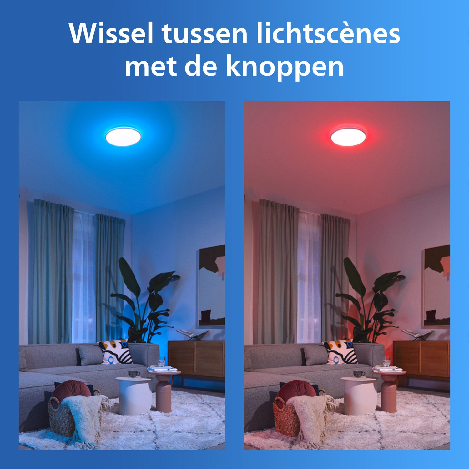 Twee woonkamerzichten: één met blauw, één met rood licht. Meubels en planten zichtbaar.