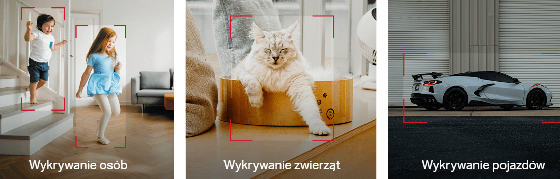 Dwoje dzieci na schodach, kot w koszyku, samochód przed bramą.