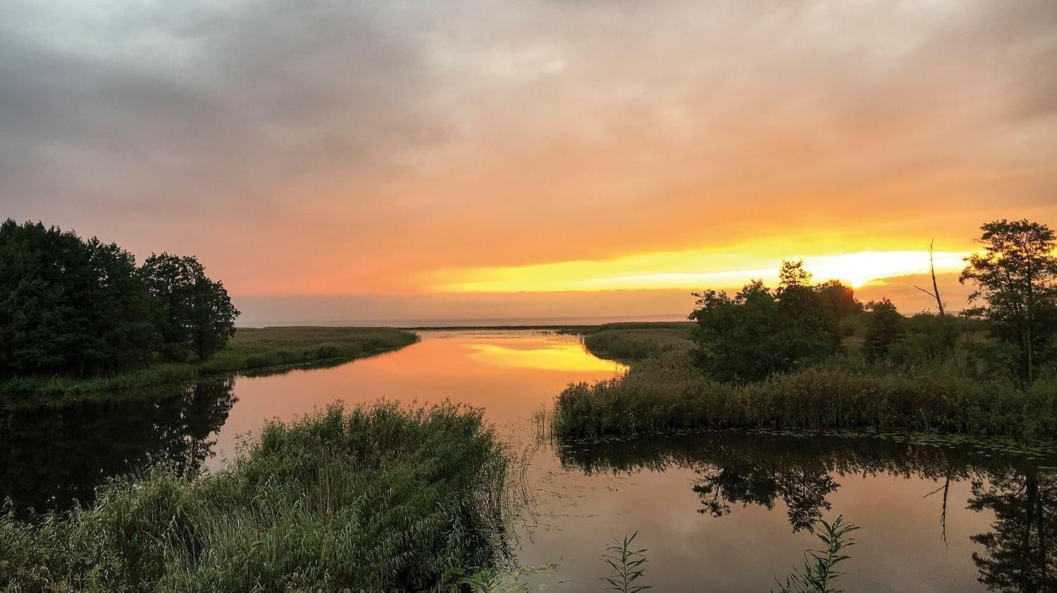 Sonnenuntergang über einem ruhigen Fluss mit Schilf und Bäumen.