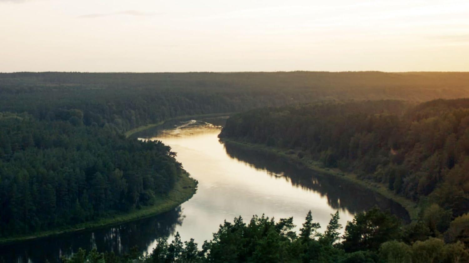 Breiter Fluss fließt durch einen dichten, dunkelgrünen Wald unter einem dunstigen, blassen Himmel.