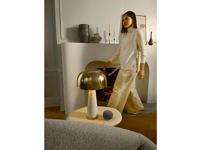 GOOGLE Home Speaker Hazel Slimme speaker met spraakbesturing Grijs