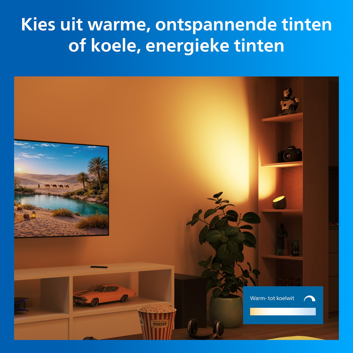A living room with a TV showing a desert landscape. A shelf with objects.