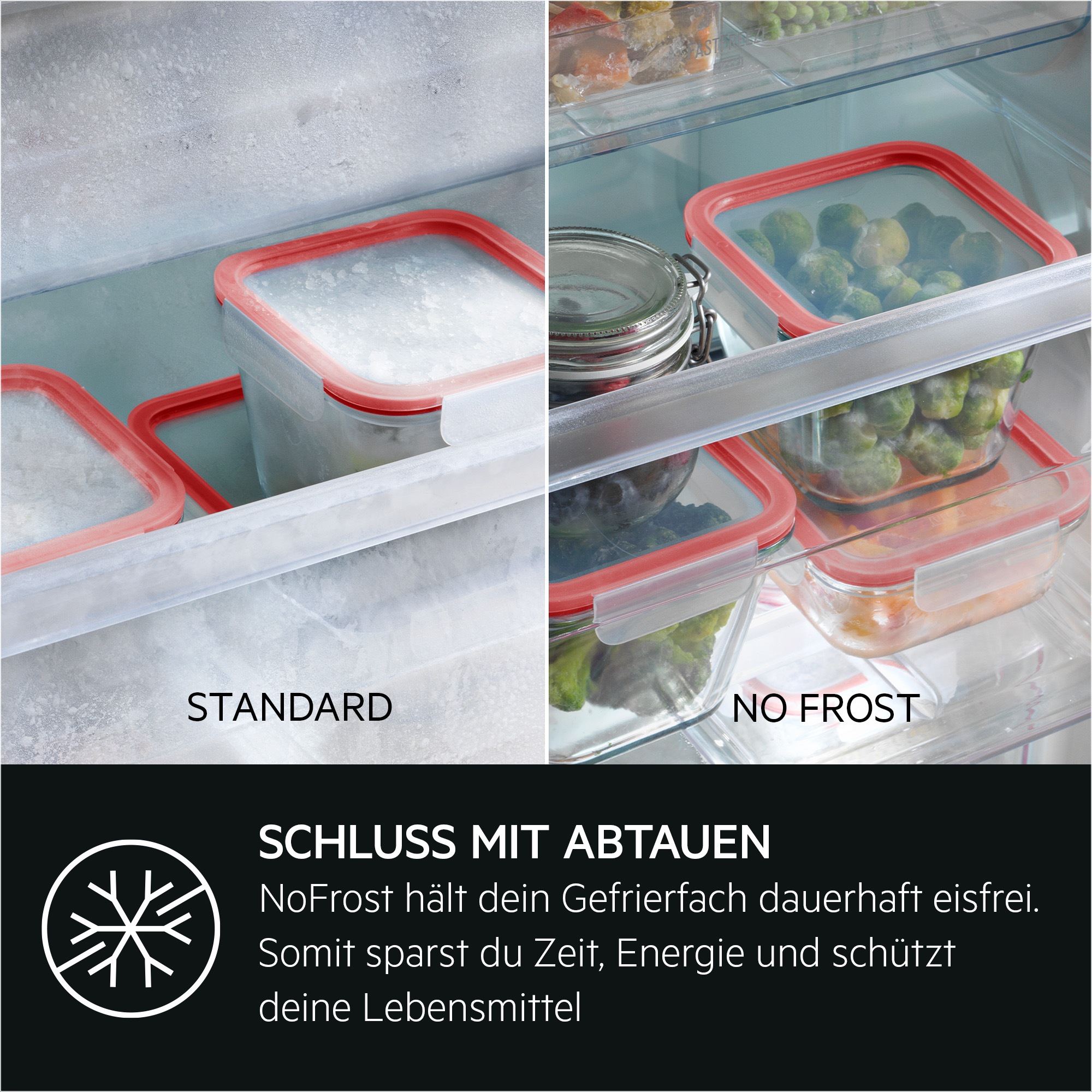 Vergleich von Gefrierfächern: Standard mit Eisbildung vs. No Frost ohne Eis.