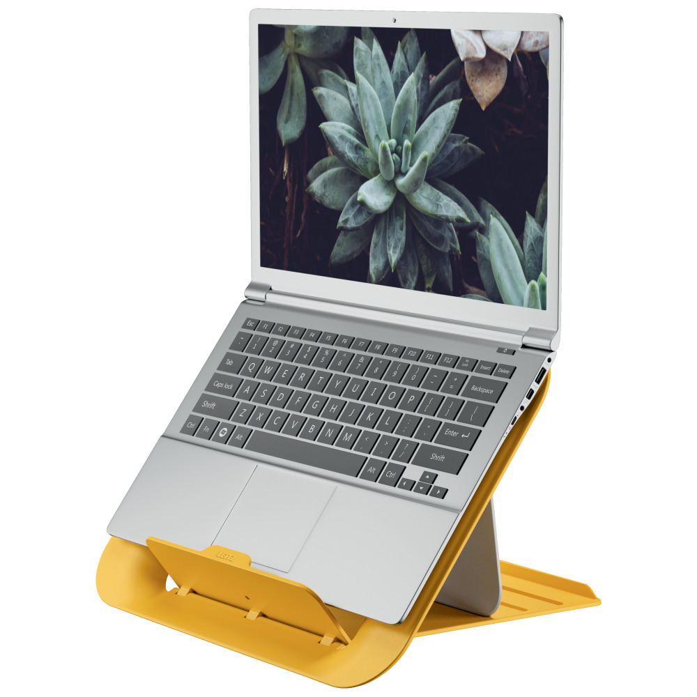 Ezüst laptop sárga állványon. A képernyő pozsgás növényeket mutat.