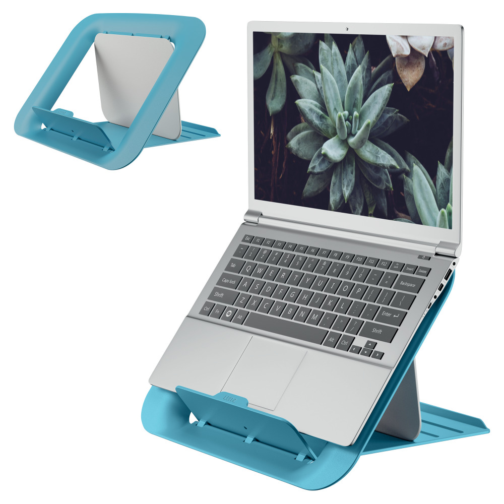 Laptop kék állványon, a képernyő pozsgás növényeket mutat.