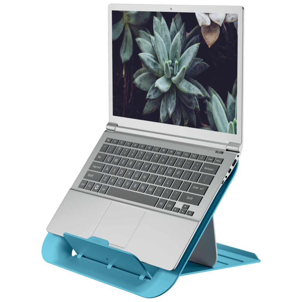 Ezüst laptop kék állványon, szukkulensek képével a képernyőn.
