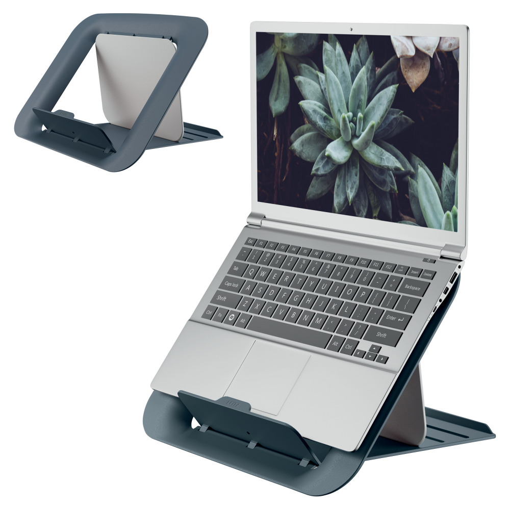 Egy laptop áll egy szürke állványon. A képernyő pozsgás növényeket mutat.