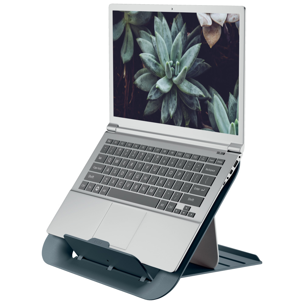 Ezüst laptop kék állványon. A képernyő pozsgás növényeket mutat.