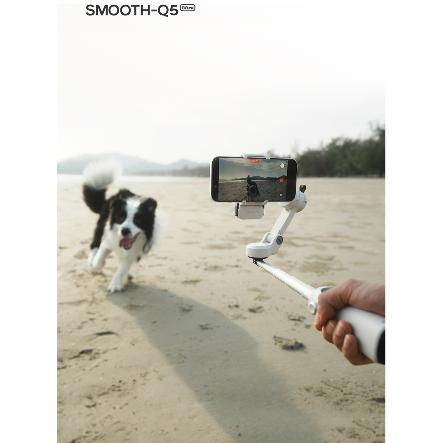 Un chien court sur la plage tandis qu'une main tient un stabilisateur avec un téléphone.