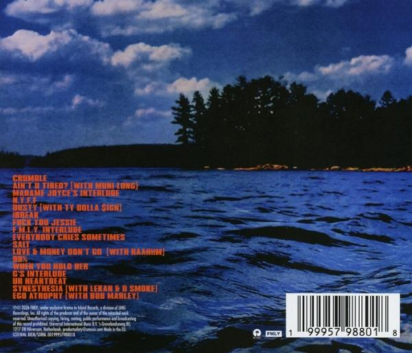 Rückseite eines Albums mit Blick auf einen See und Bäume unter einem dramatischen Himmel.