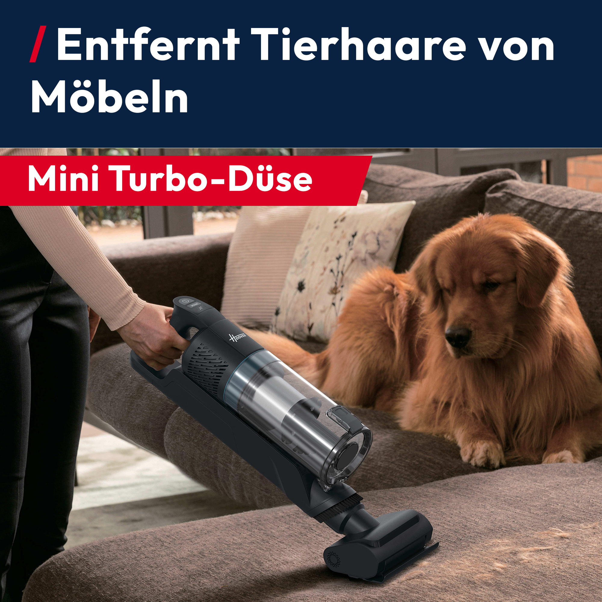 Ein Handstaubsauger wird auf einem Sofa benutzt, auf dem ein Hund sitzt.