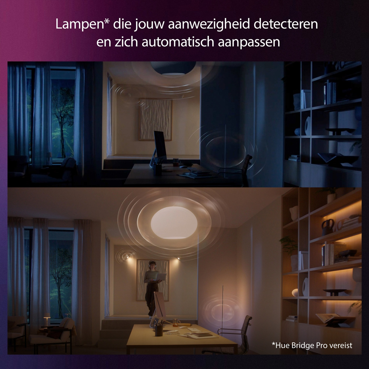 Un bureau avec des lumières qui s'adaptent. Sombre en haut, lumineux en bas, avec personne.