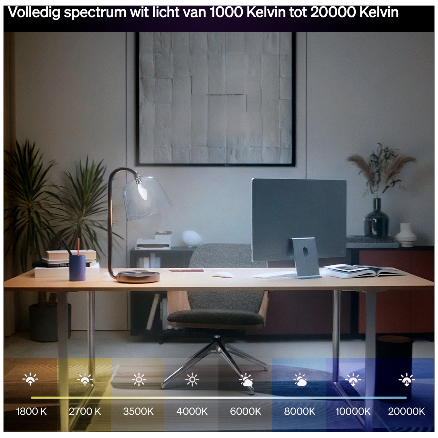 Bureau avec ordinateur, lampe, plantes. Spectre de couleurs de 1800K à 20000K.