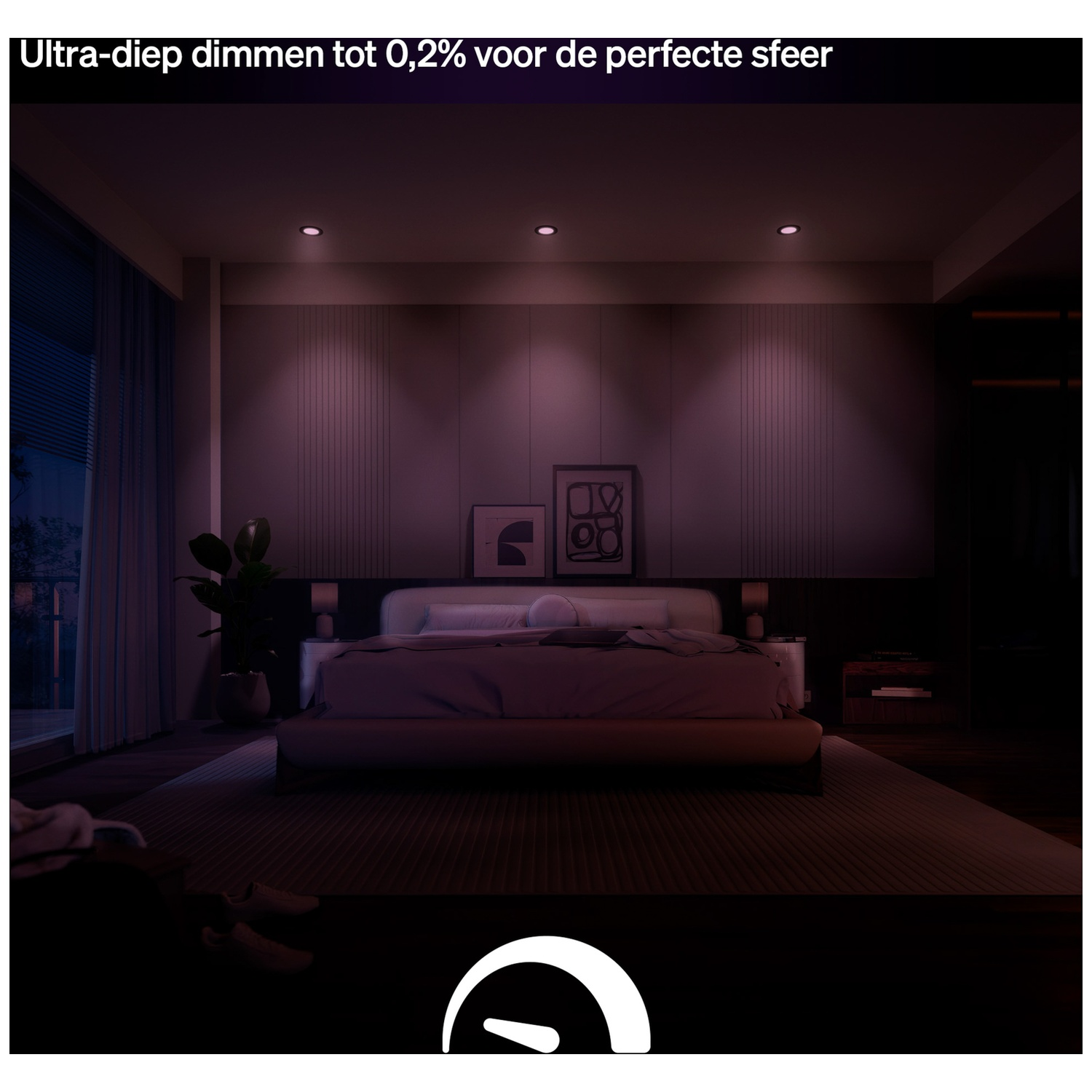 Une chambre avec un éclairage tamisé, un lit et des œuvres d'art.