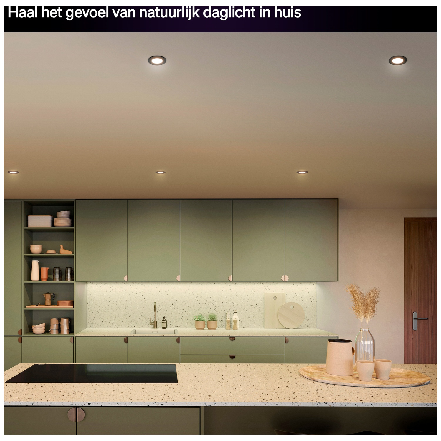 Cuisine verte moderne avec comptoir, plaque de cuisson et armoires encastrées.
