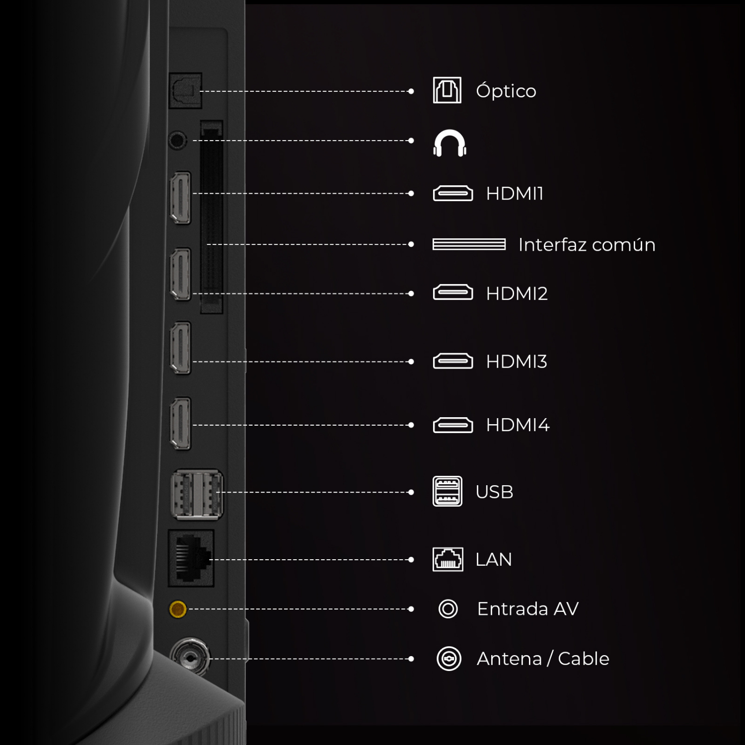 Panel trasero con puertos ópticos, HDMI, USB, LAN y antena.