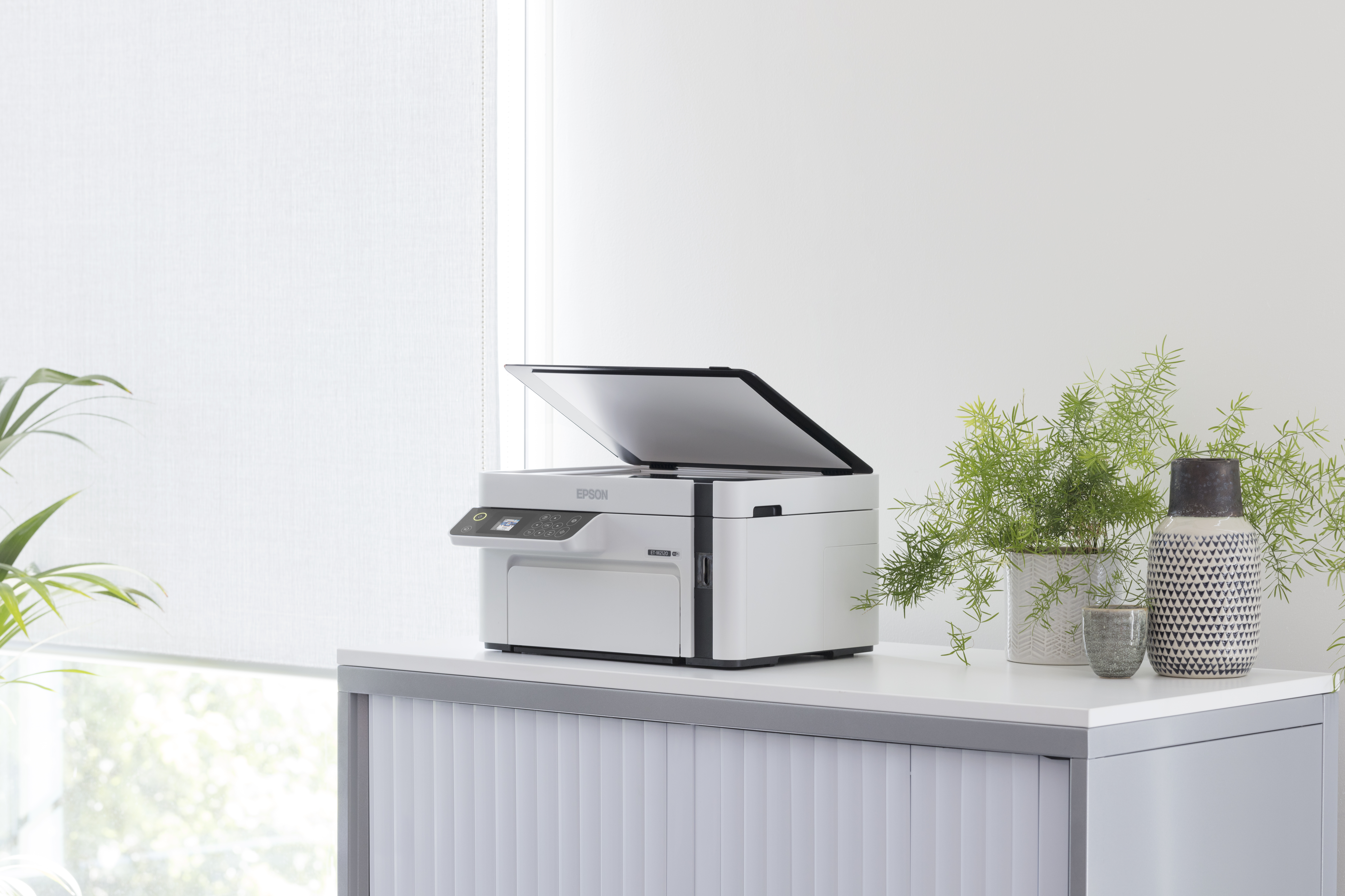 Ein weißer Epson-Drucker steht auf einem Schrank neben Pflanzen.