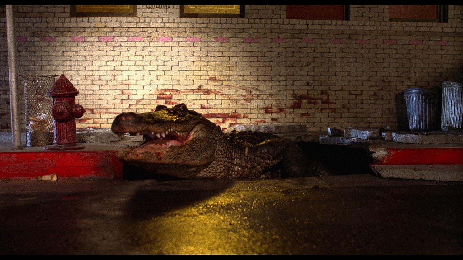 Ein Alligator mit offenem Maul liegt auf dem Bürgersteig vor einer Ziegelwand.