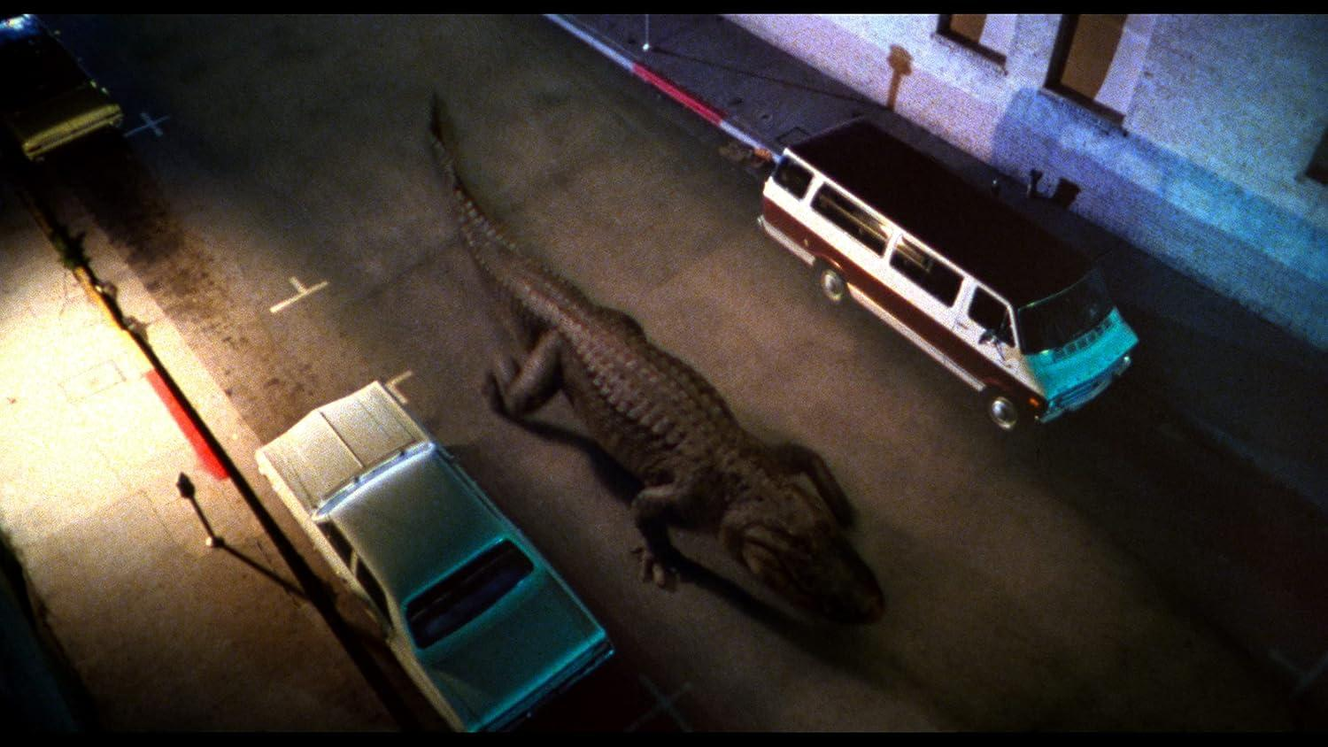 Ein Alligator liegt auf einer Straße neben einem Auto und einem Van.