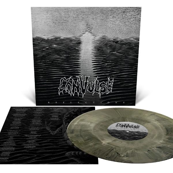 Vinyl-Schallplatte mit Cover, das eine Wellenlandschaft mit reflektierendem Licht zeigt.
