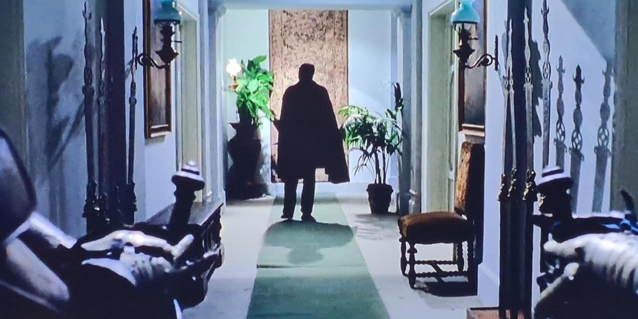 Silhouette einer Person in einem Umhang, die einen Flur mit Pflanzen und Lampen entlanggeht.