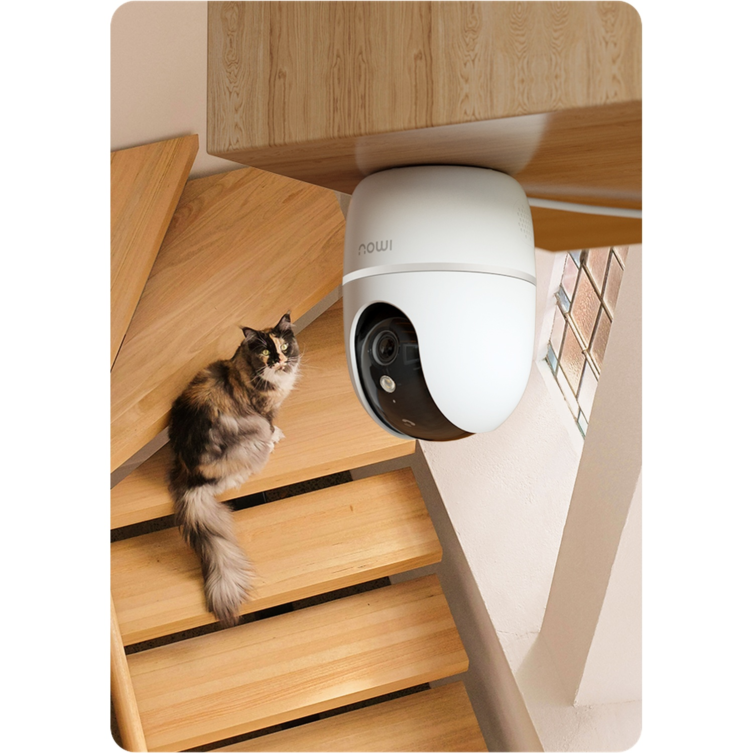 Un chat calico est assis sur des marches en bois à côté d'une caméra de sécurité blanche.