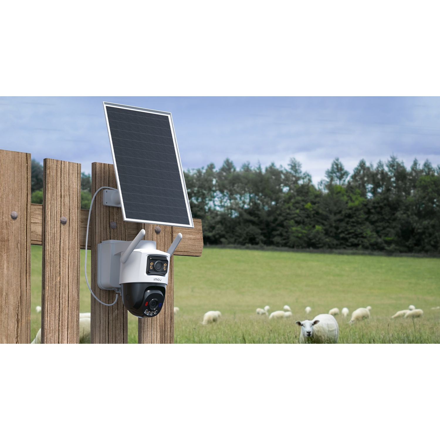 Une caméra de sécurité blanche avec panneau solaire sur une clôture en bois, surplombant un champ de moutons.