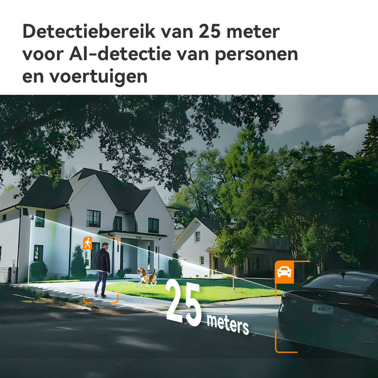 Un homme et un chien sur une allée devant une maison, avec des zones de détection.