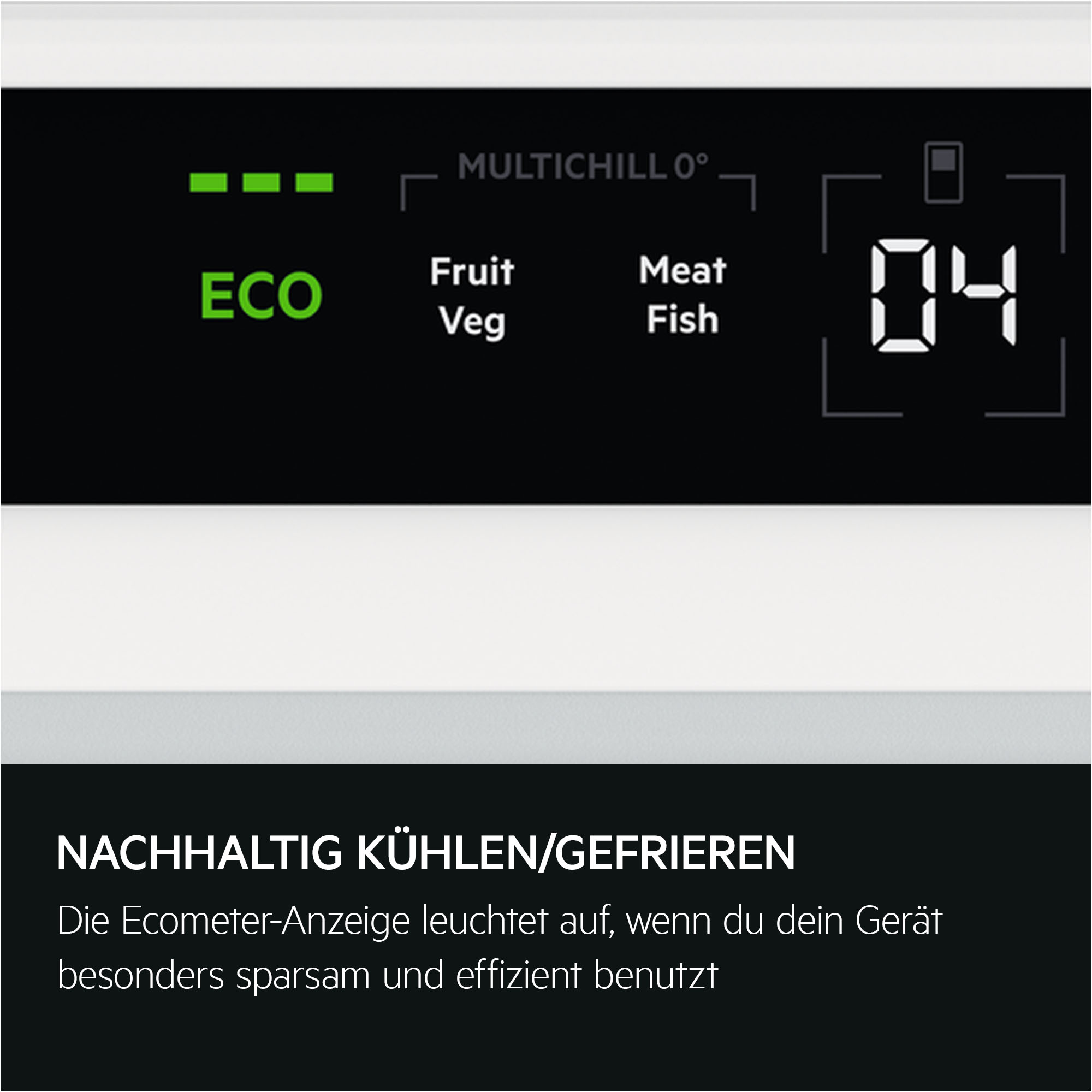Ecometer-Anzeige mit ECO, Frucht/Gemüse, Fleisch/Fisch und 0°C