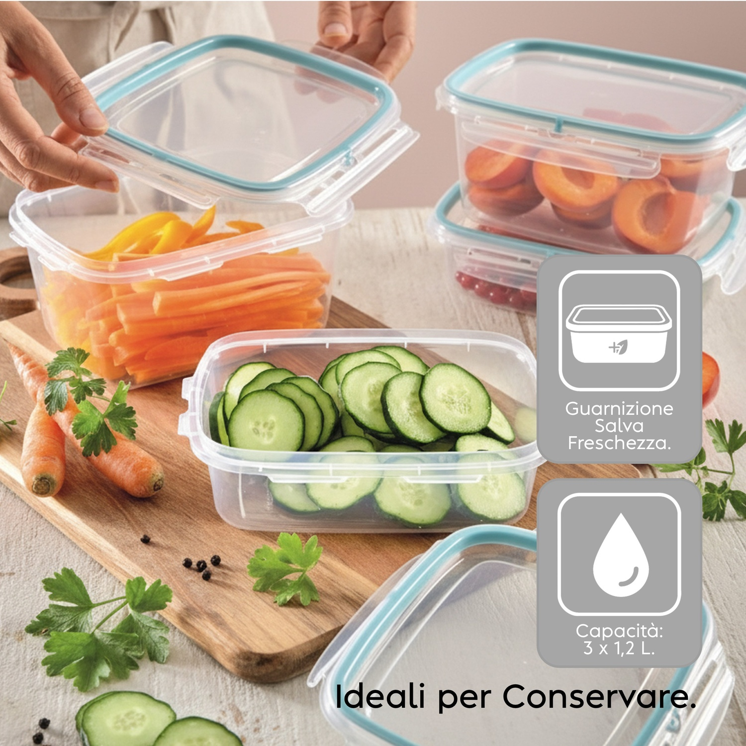 Contenitori alimentari con carote, cetrioli e albicocche. Ideali per conservare.