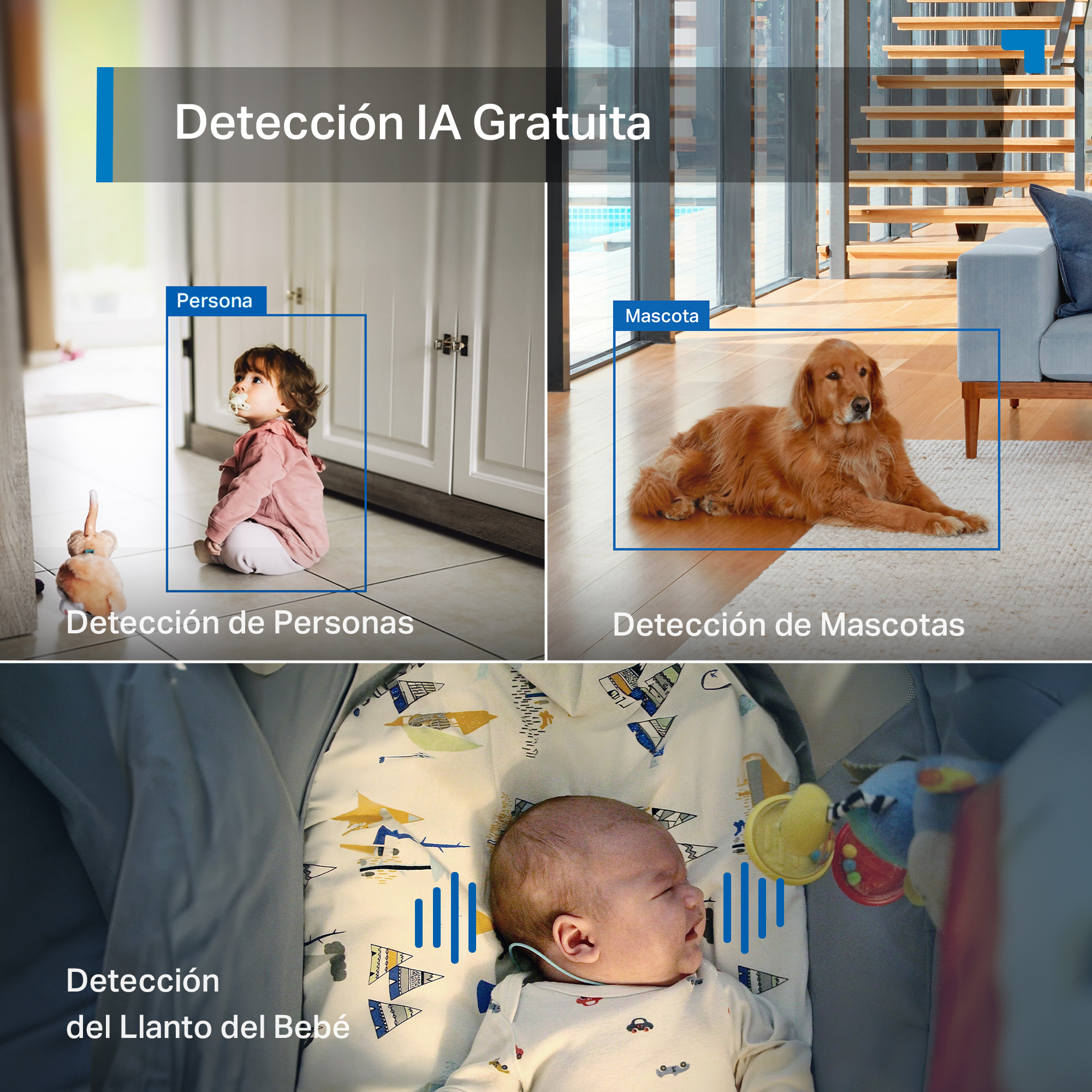Un niño con chupete sentado, un perro acostado, un bebé llorando. Detección IA.