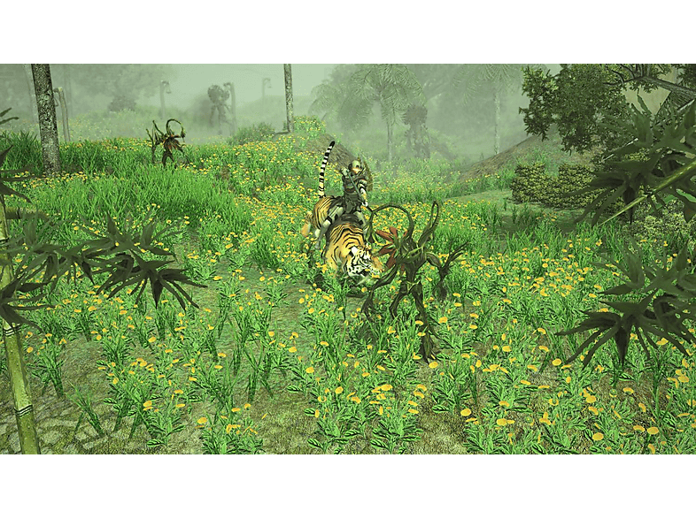 Nintendo Switch Sacred 2 Remaster – imagen 2