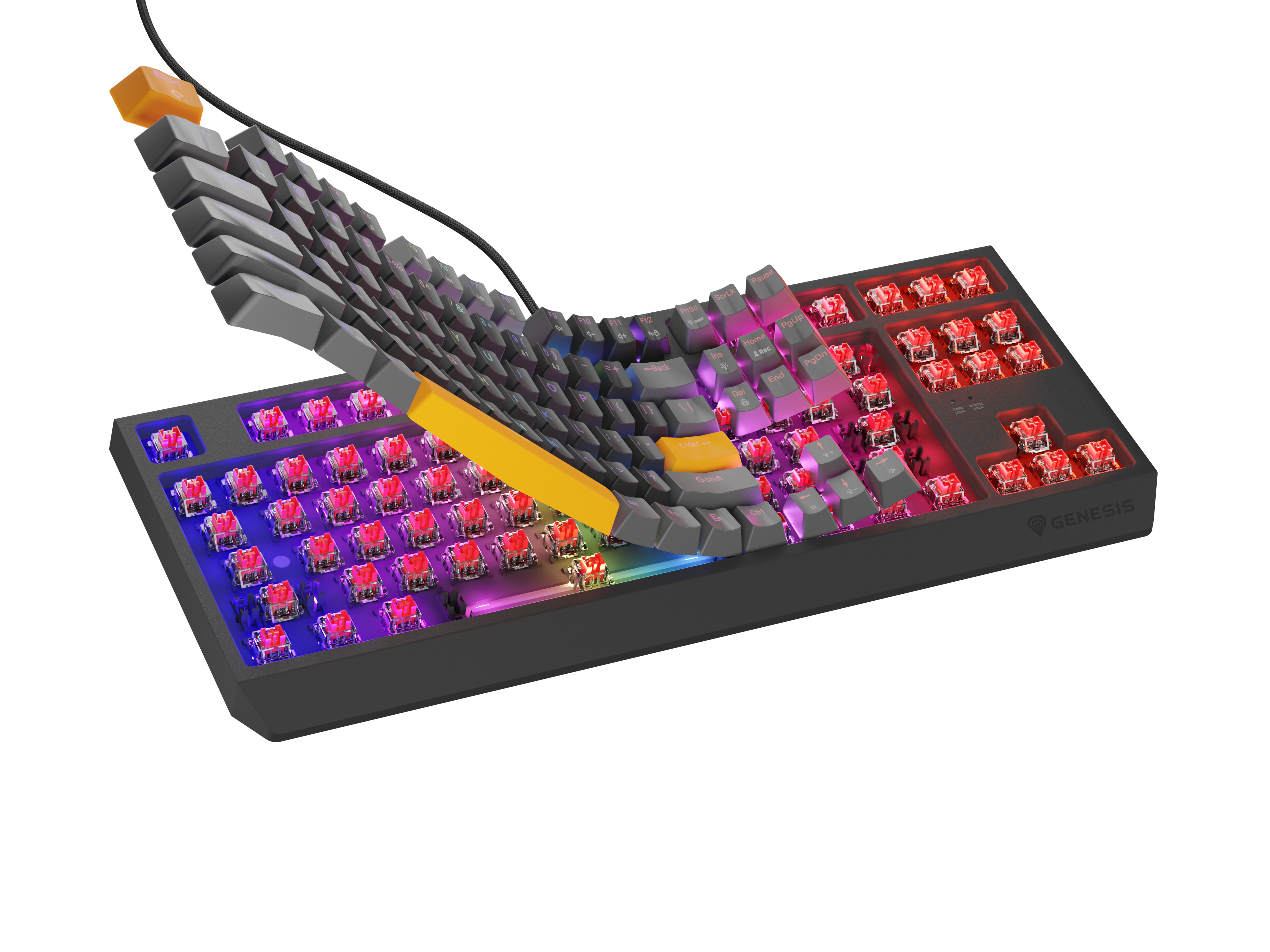 Szara klawiatura z czerwonymi przełącznikami i podświetleniem RGB.