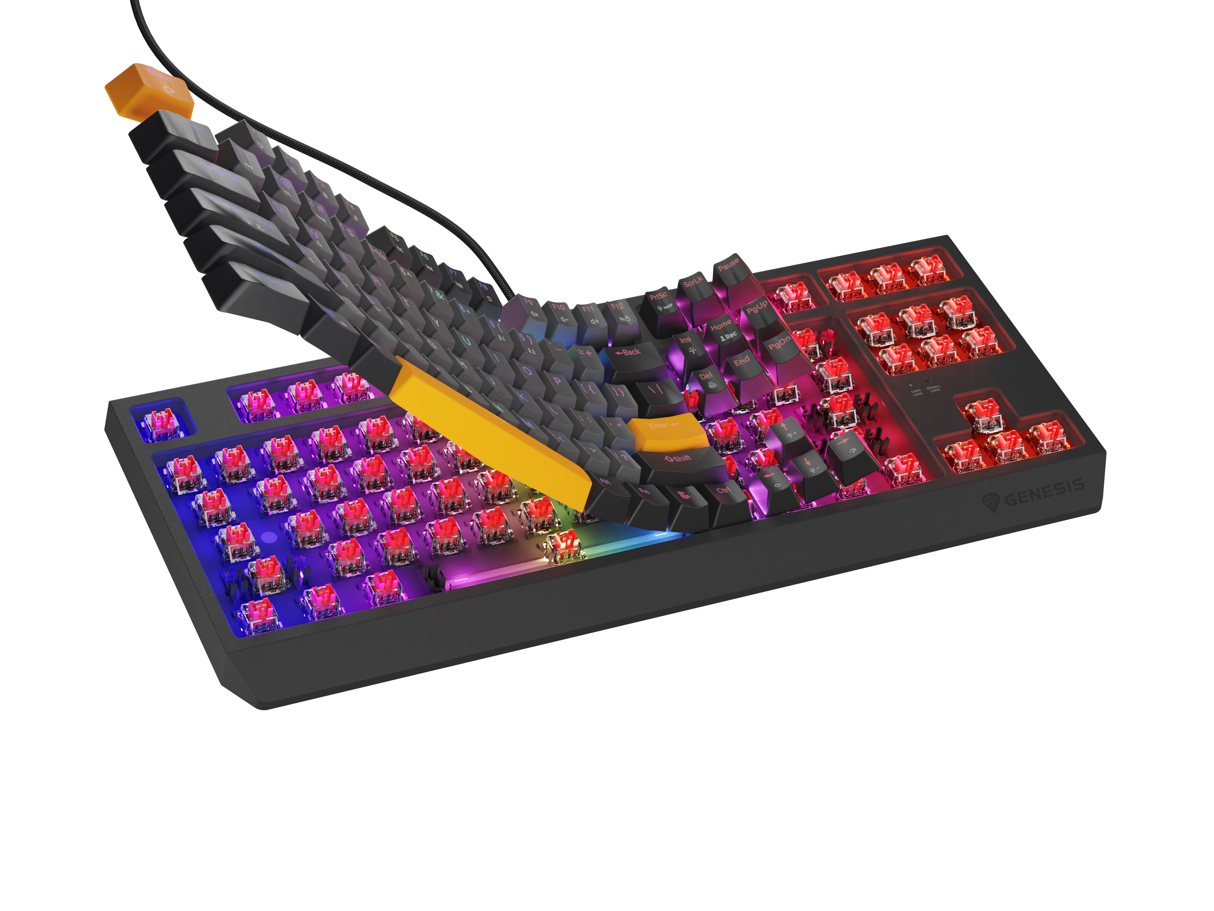 Klawiatura z czerwonymi przełącznikami i podświetleniem RGB, wyginająca się ku górze.
