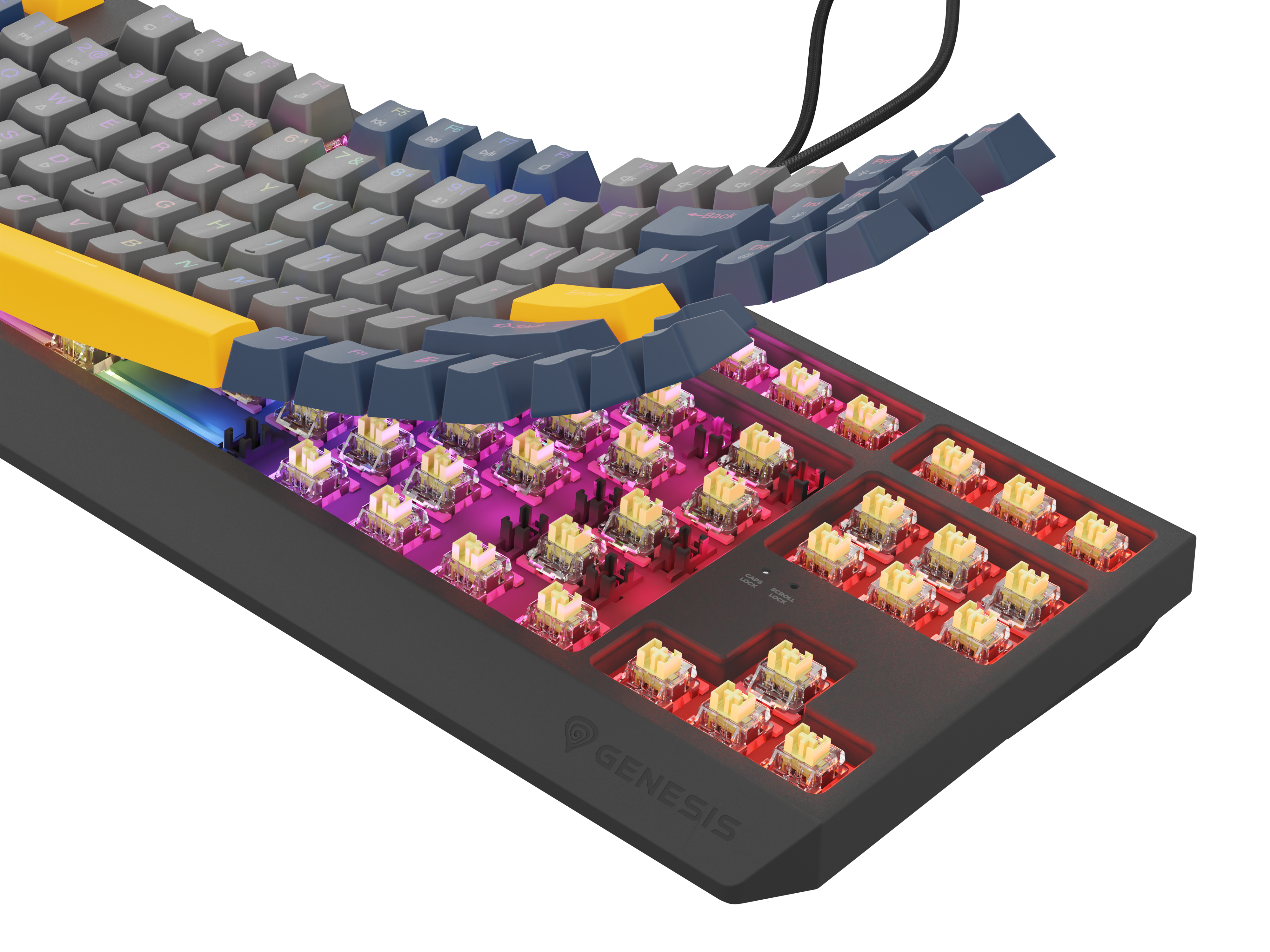 Zbliżenie zdemontowanej klawiatury mechanicznej, pokazujące przełączniki i oświetlenie RGB.