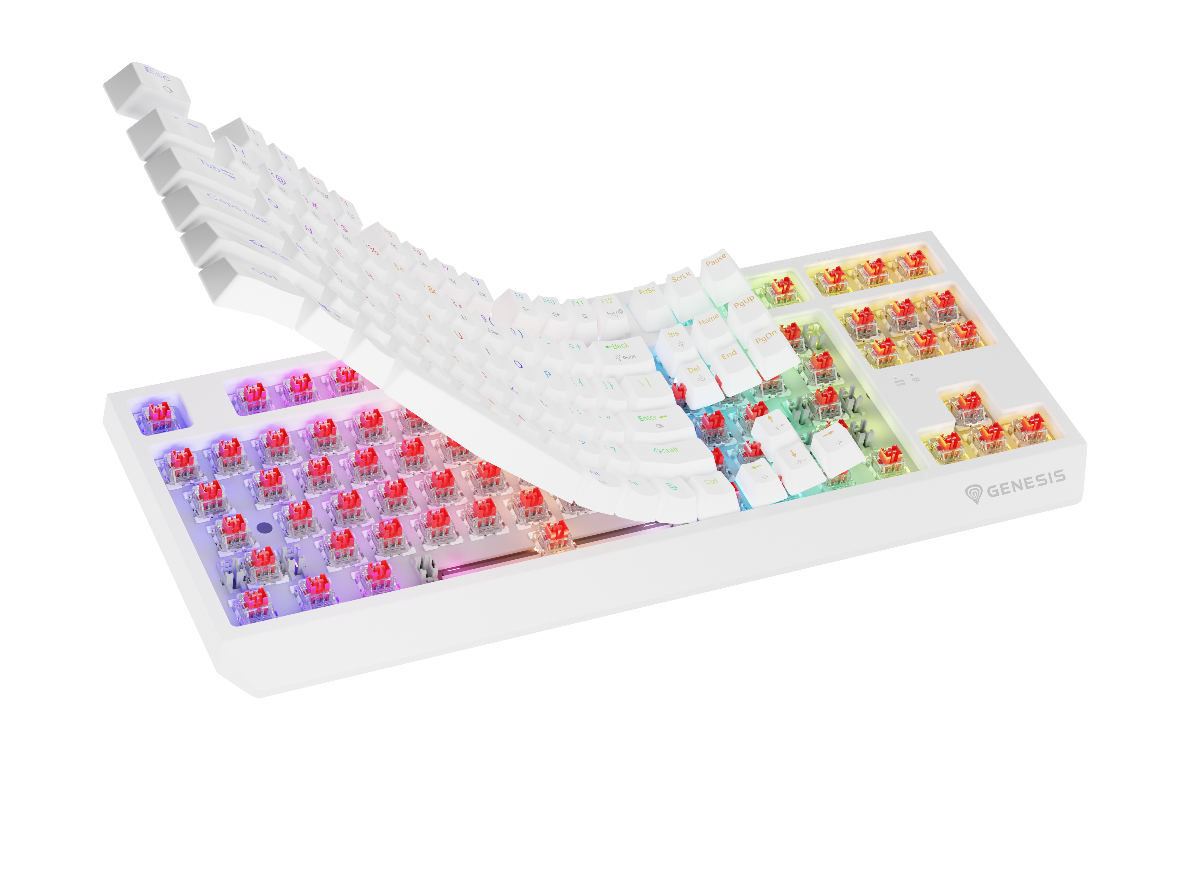 Biała klawiatura z czerwonymi przełącznikami i podświetleniem RGB, której klawisze są podniesione.