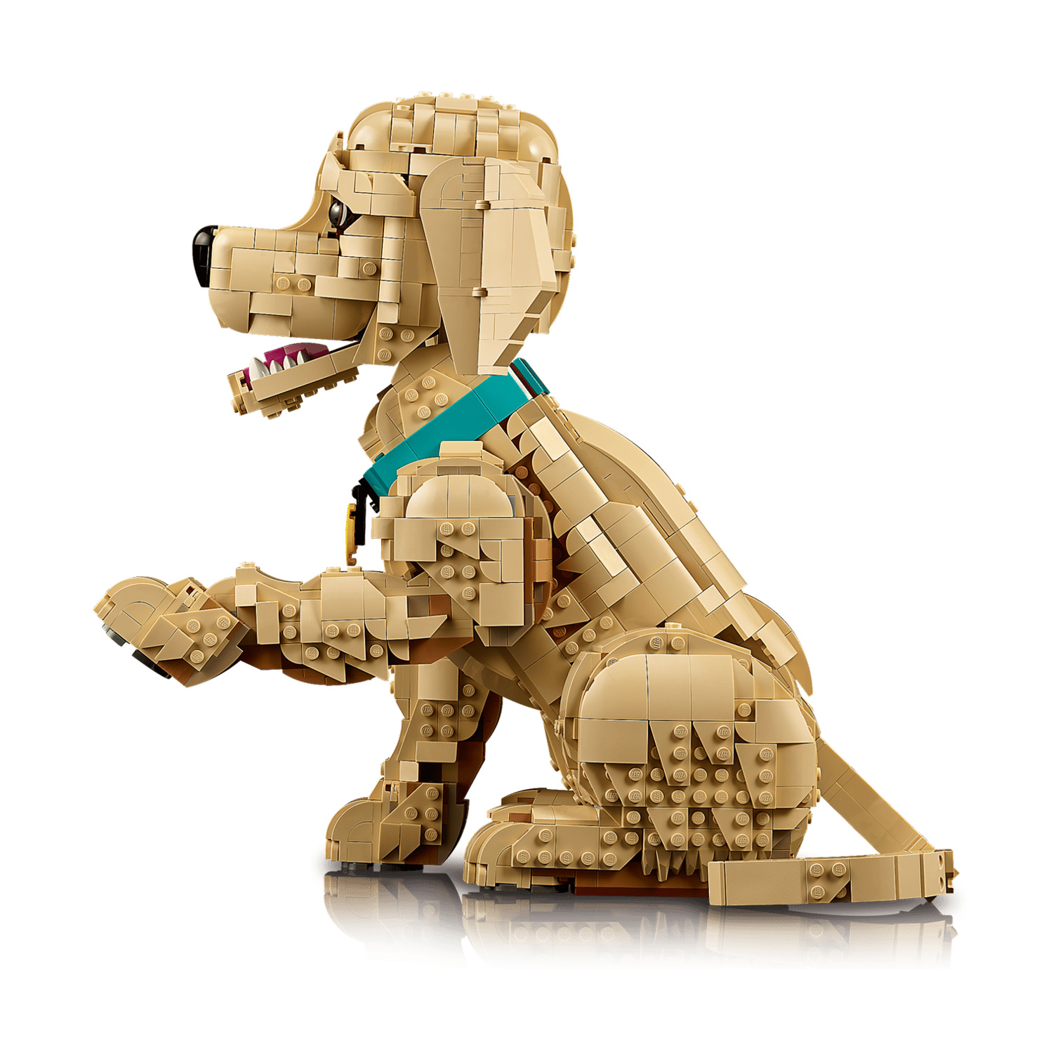 Un cane Lego marrone chiaro seduto, solleva una zampa, indossa un collare turchese.