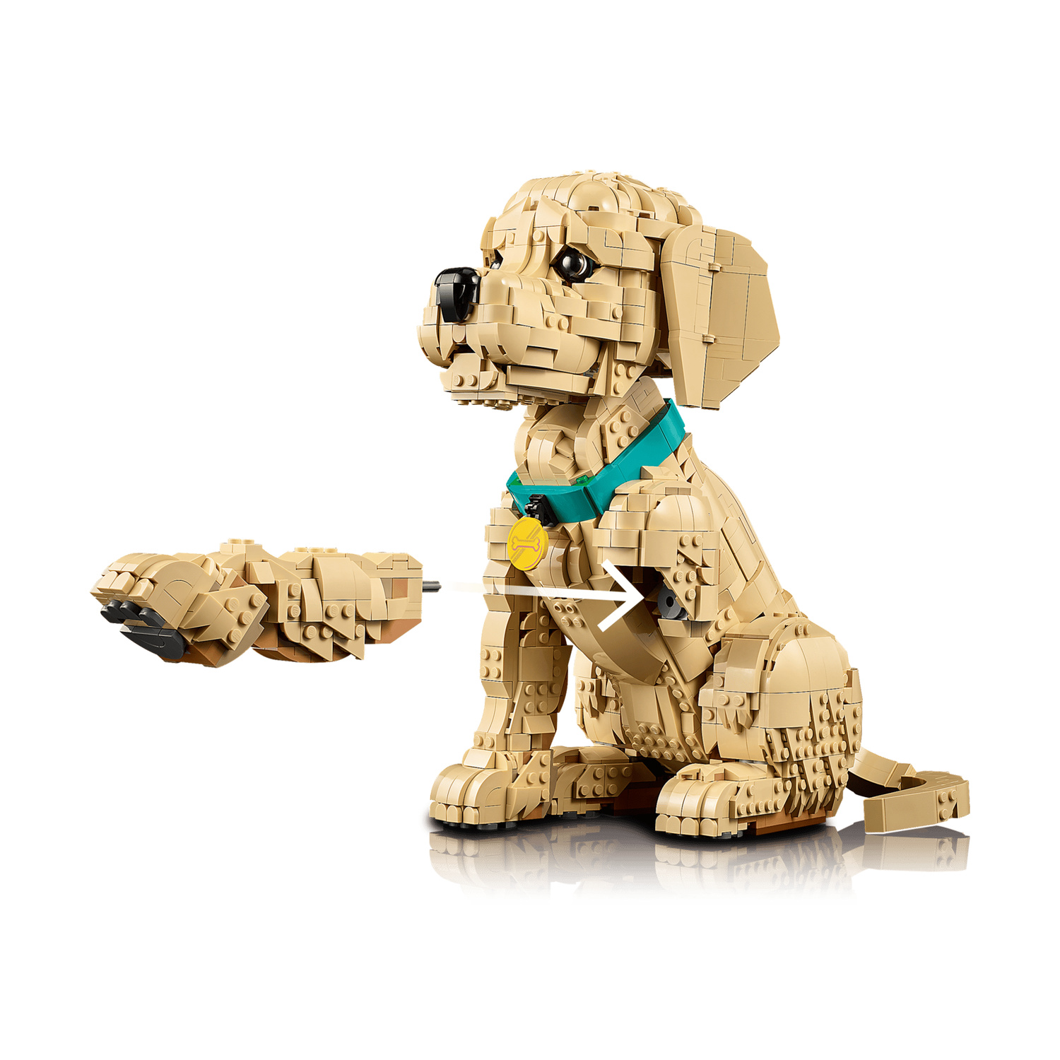 Un cane Lego beige con collare turchese e medaglietta a osso è seduto.