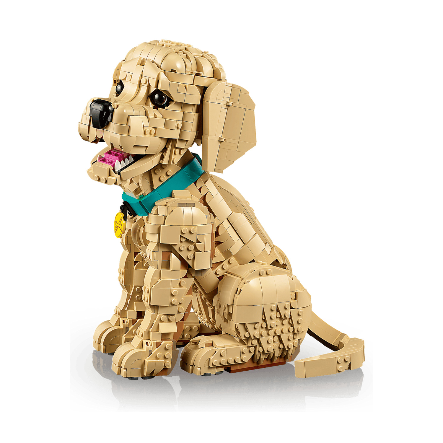Un cane Lego beige seduto indossa un collare turchese con medaglietta.