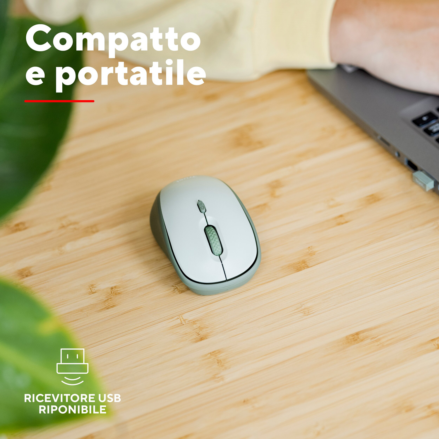 Un mouse bianco e un laptop su una scrivania di legno con una pianta verde.