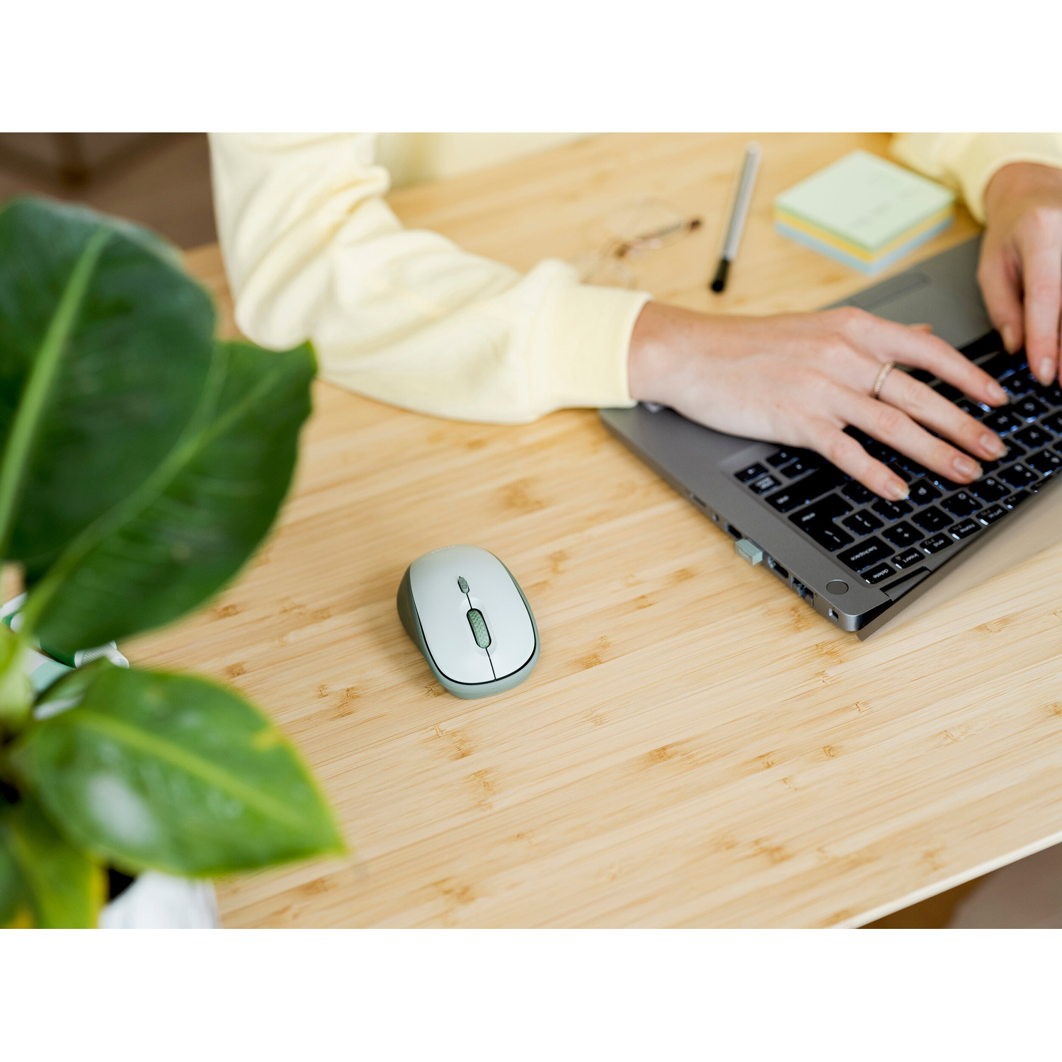 Persona che digita su laptop con mouse, penna, occhiali e pianta vicini.