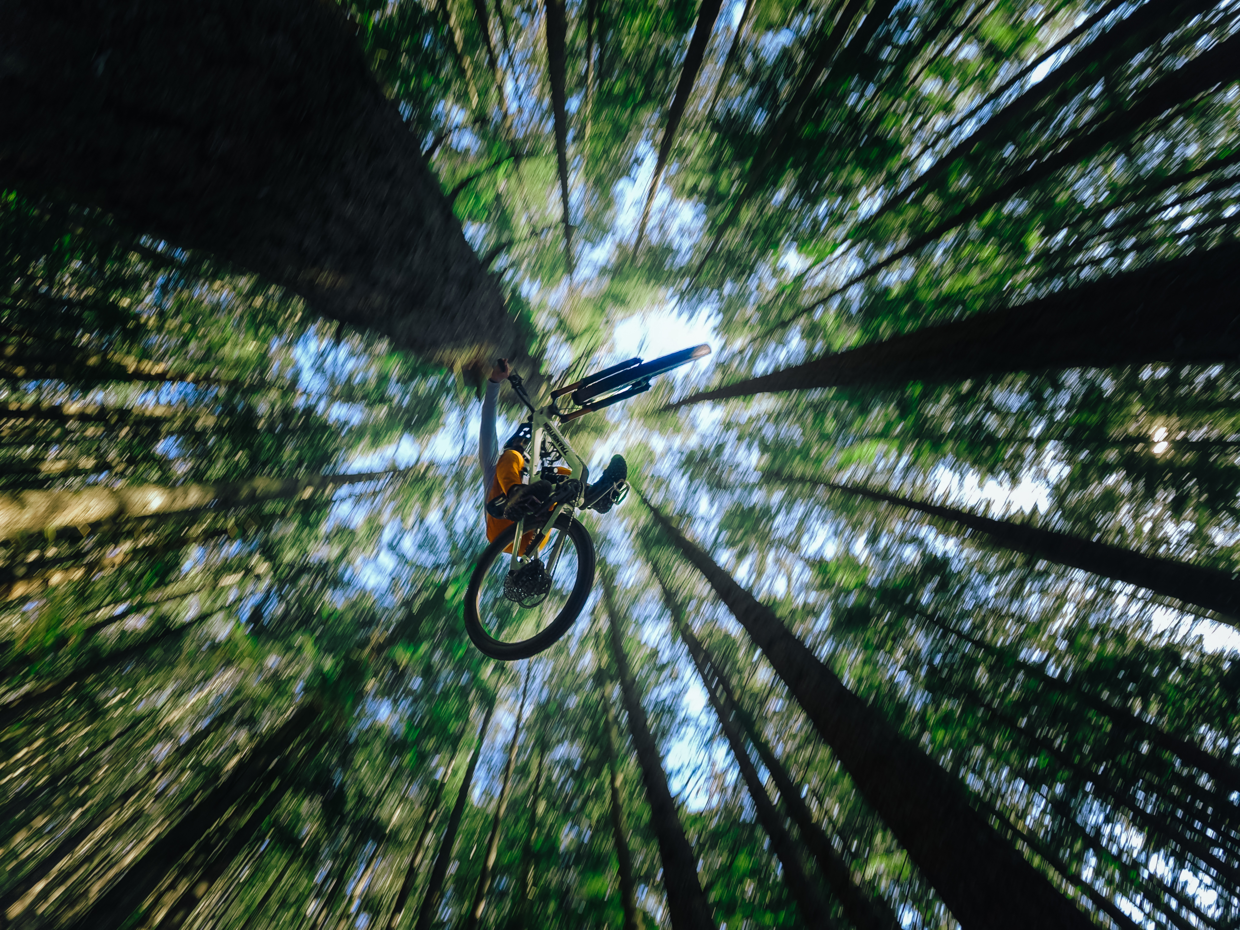 Ein Mountainbiker fliegt kopfüber durch einen Wald.