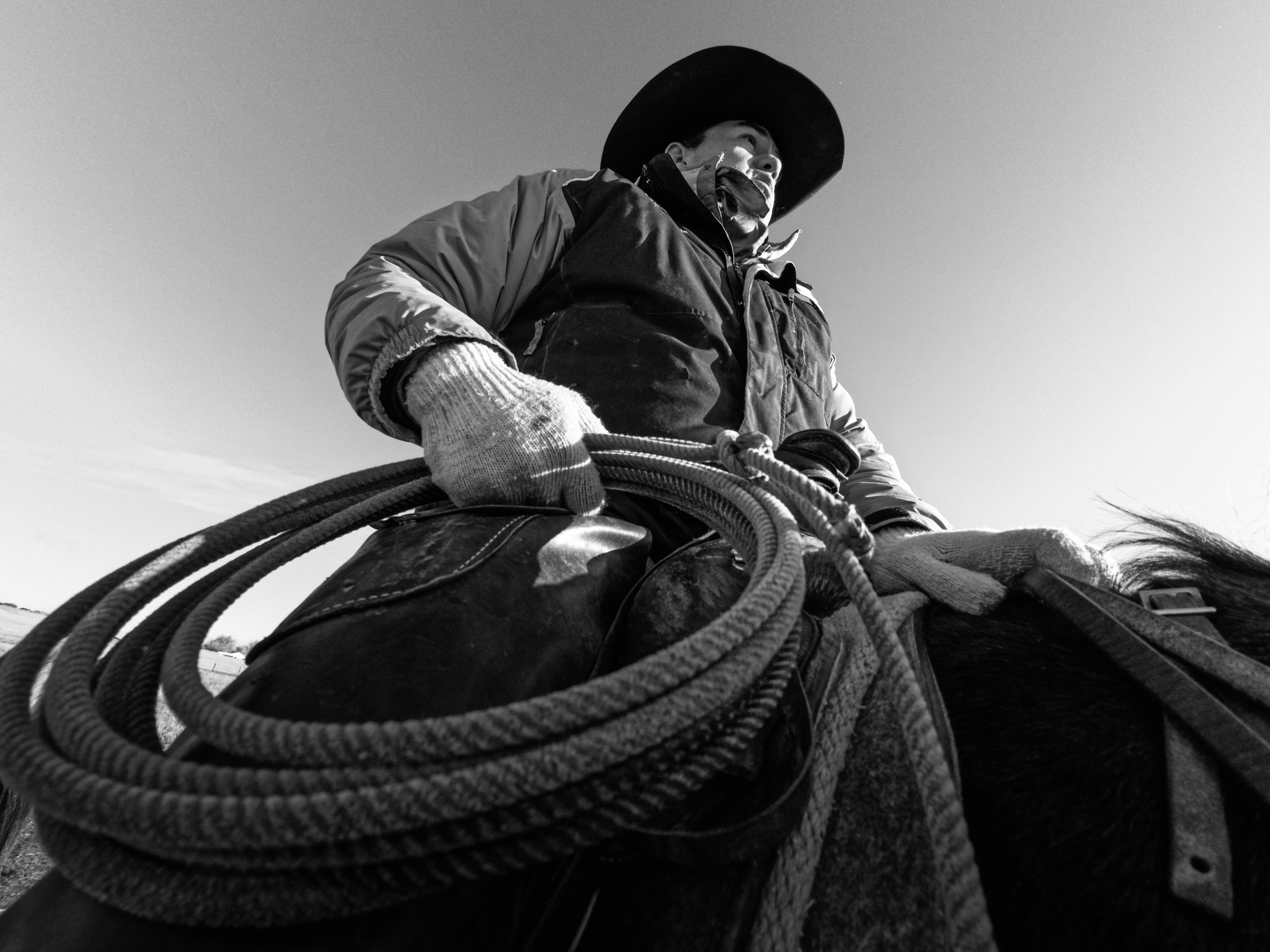 Ein Cowboy im Sattel, der ein Lasso hält, vor klarem Himmel.