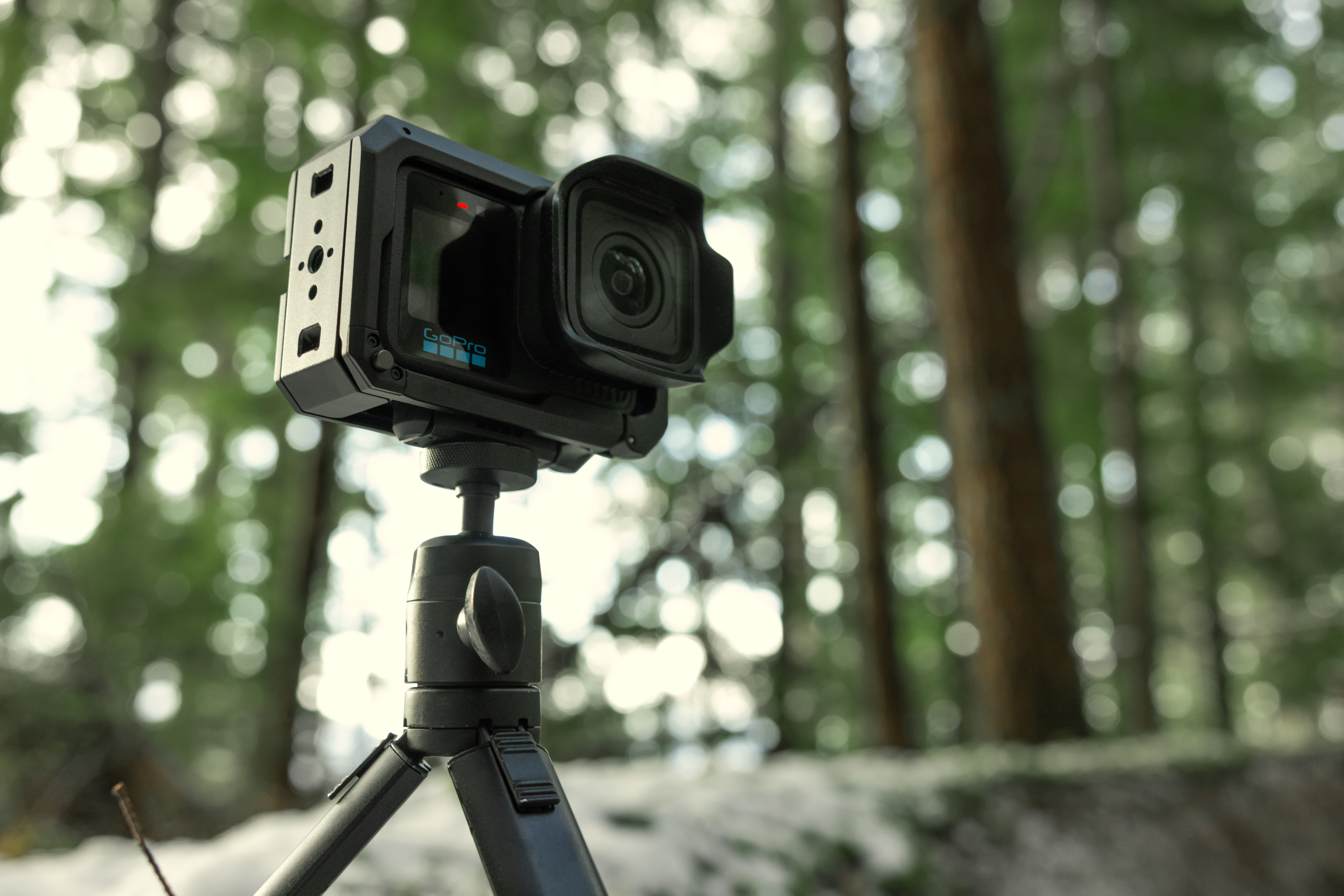 Eine GoPro-Kamera auf einem Stativ im Wald, verschwommener Hintergrund.