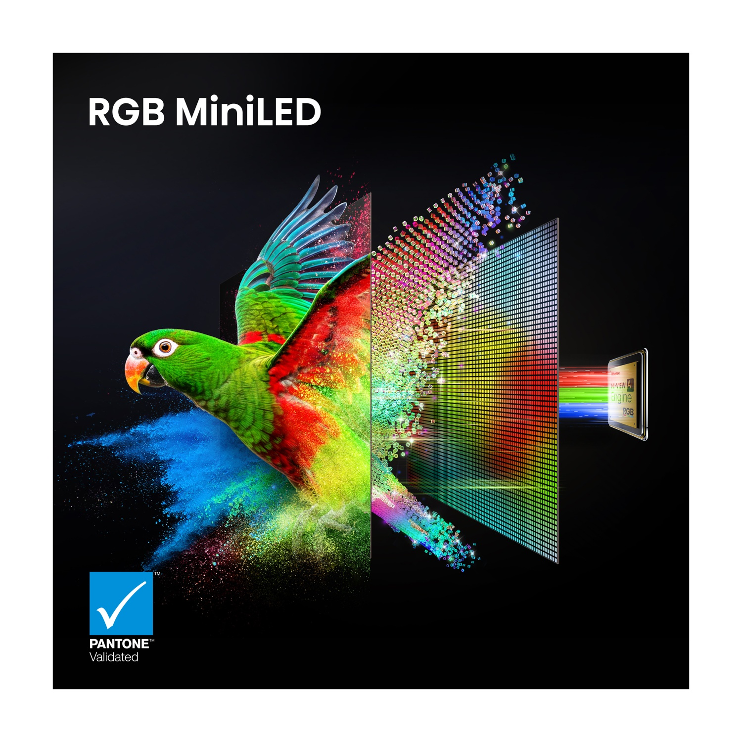 Un pappagallo verde esplode a colori davanti a uno schermo RGB MiniLED.